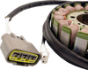OE Style Stator - Yamaha