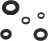 Engine Oil Seal Kit