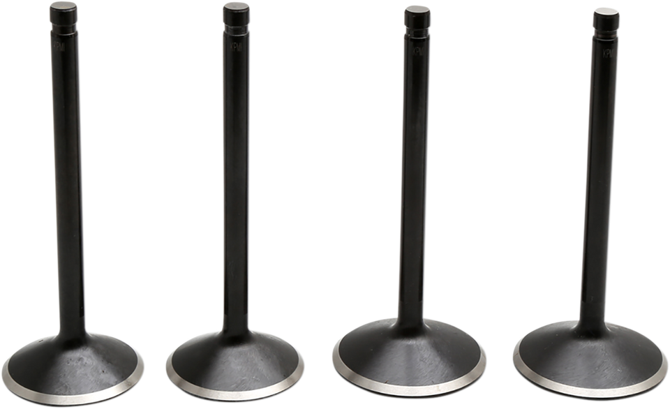 Valve Kit - Evolution