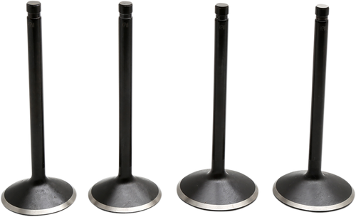 Valve Kit - Twin Cam