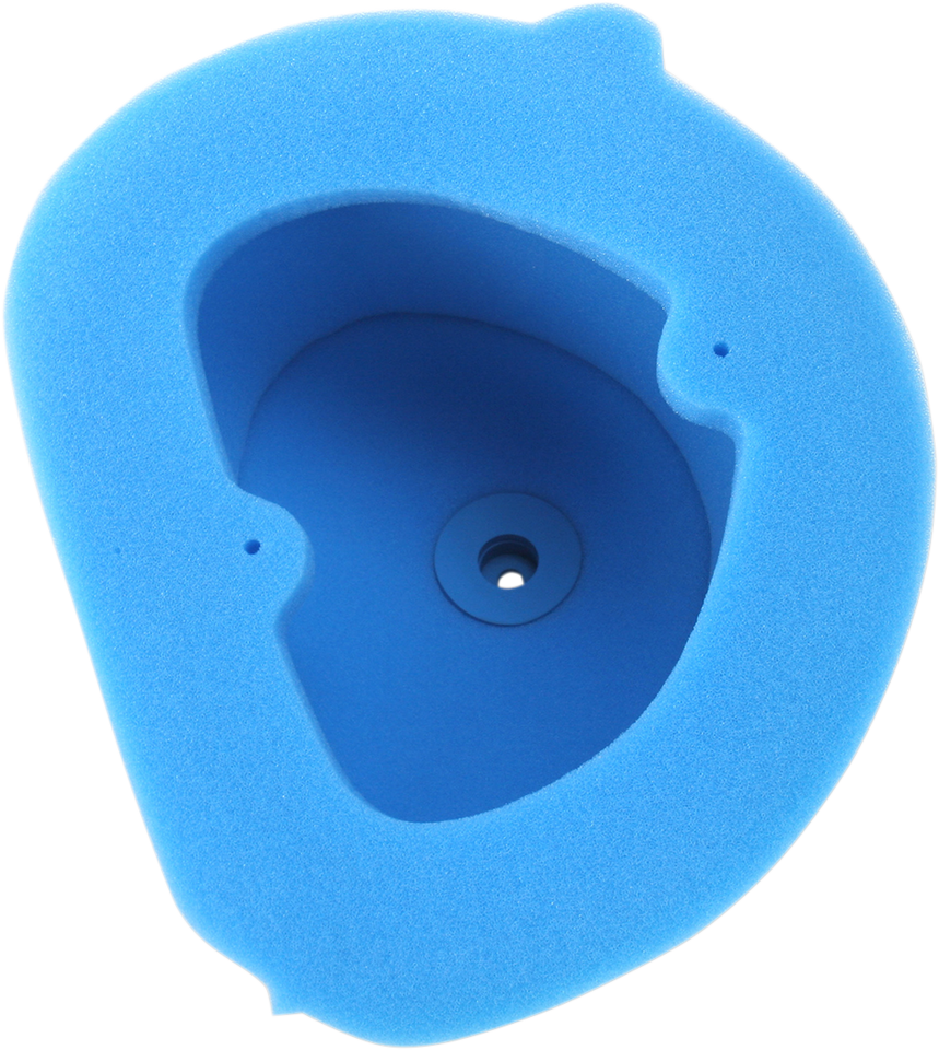 Premium Air Filter - Kawasaki