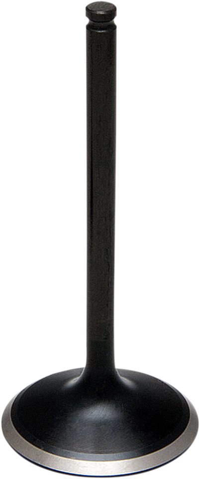 Intake Valve - LTR450 - Standard