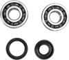 Crank Bearing and Seal Kit - Kawasaki