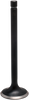 Intake Valve