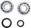 Crank Bearing and Seal Kit - Suzuki