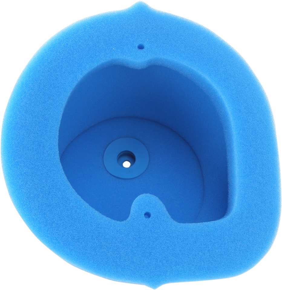 Premium Air Filter - Kawasaki