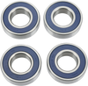 Wheel Bearing Kit - Rear - Mule