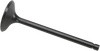 Intake Valve