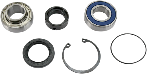 Chain Case Bearing and Seal Kit