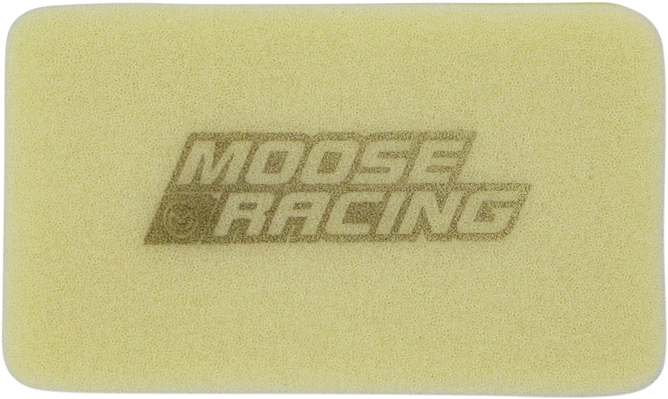 Air Filter - Polaris