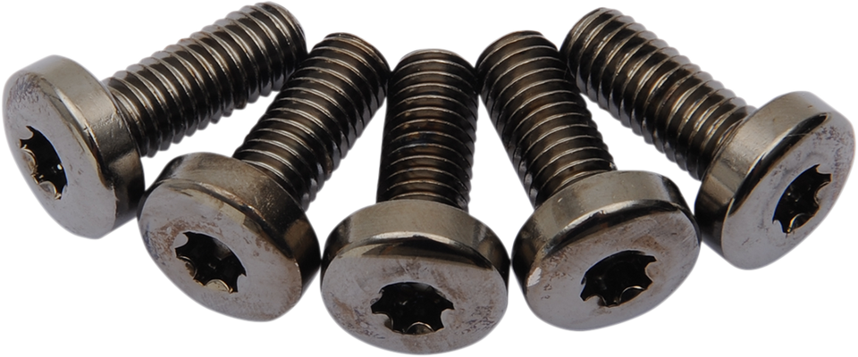 Mounting Kit - Rotor to Hub - Rear - Black - Lutzka's Garage