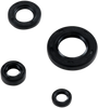 Engine Oil Seal Kit - Suzuki