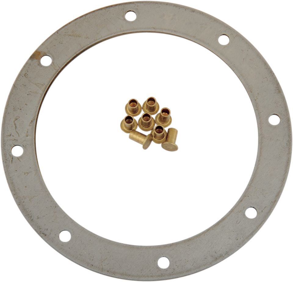 Friction Plate with Rivets