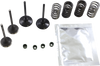 Valve Kit