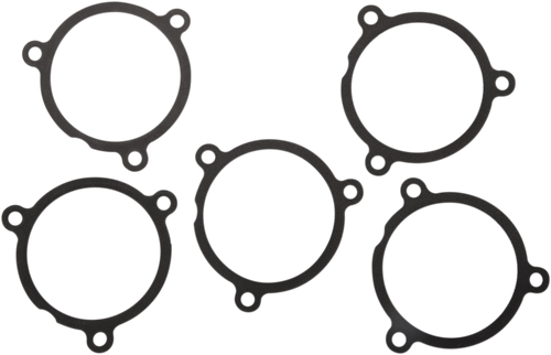 Air Cleaner Gasket - M8