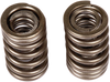 Valve Springs