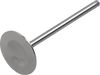 Intake Valve