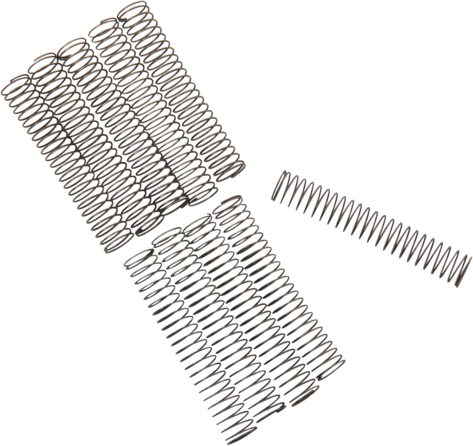 Check Valve Spring - Big Twin