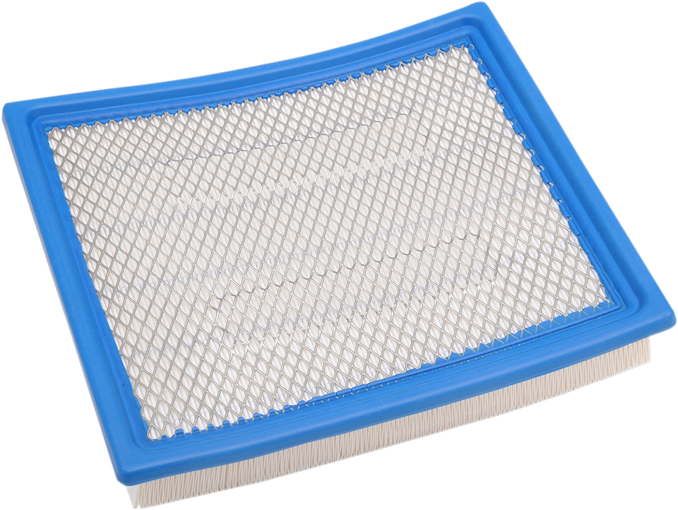 Air Filter - Polaris