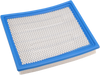 Air Filter - Polaris