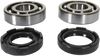 Crank Bearing and Seal Kit - Yamaha