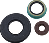 Oil Seal Set