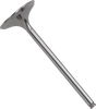 Exhaust Valve