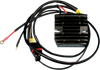 Hot Shot Regulator/Rectifier - Victory