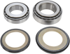Steering Stem Bearing Kit