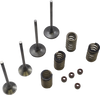 Valve Kit