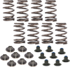 Spring Kit - .540" - M8