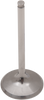 Intake Valve
