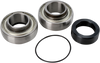 Chain Case Bearing and Seal Kit
