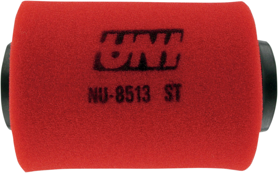 Air Filter - Polaris