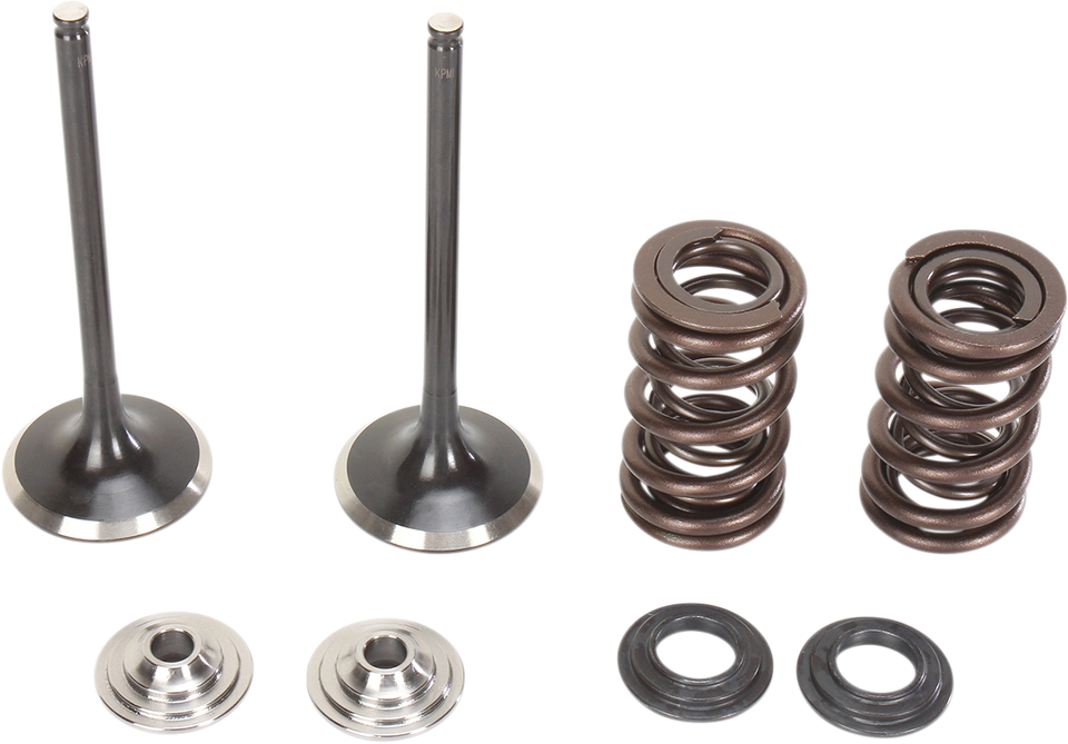 Intake Valve Kit