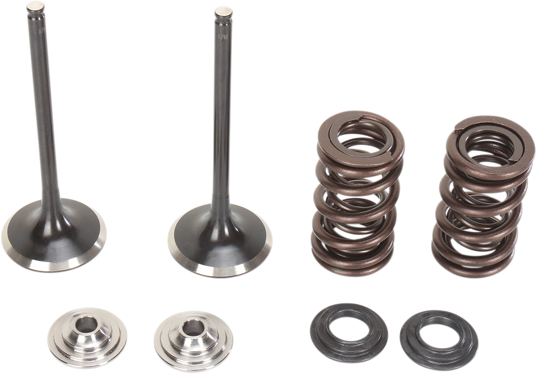 Intake Valve Kit