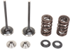 Intake Valve Kit