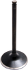 Intake Valve