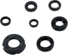 Engine Oil Seal Kit