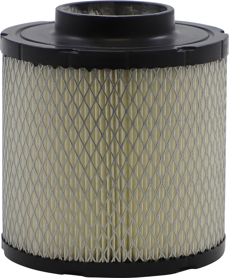 Replacement Air Filter - Polaris