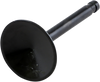 Intake Valve