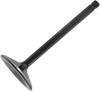Intake Valve - 1200 XL
