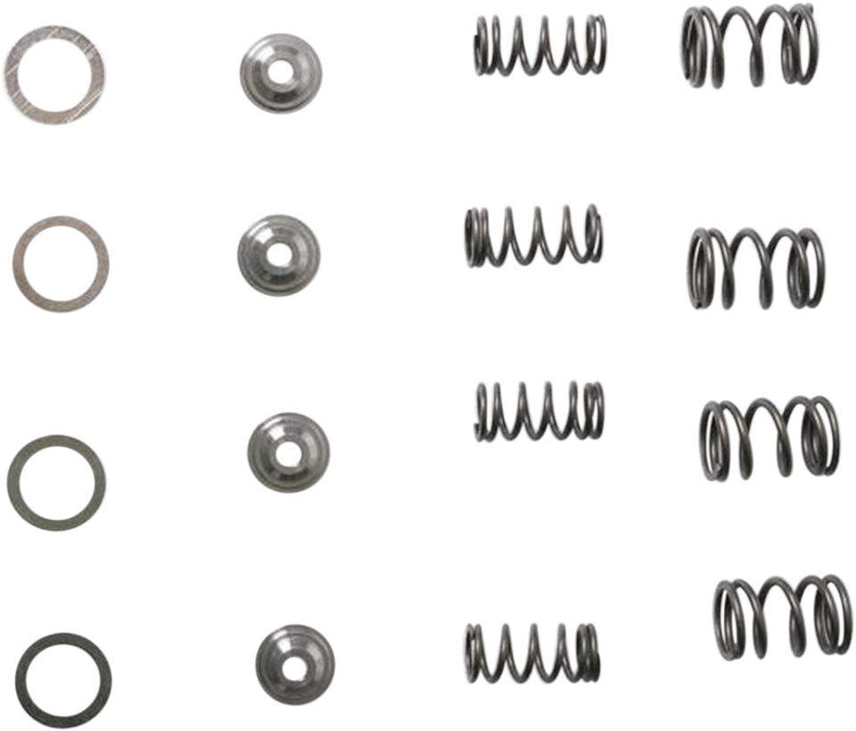 Valve Spring Kit