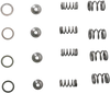 Valve Spring Kit