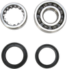 Crank Bearing and Seal Kit - Honda