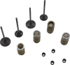 Valve Kit