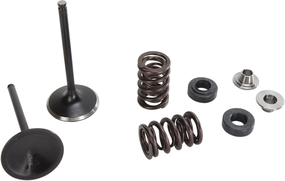 Valve and Spring Kit