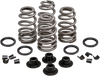 Spring Kit - .660" - Evolution/Twin Cam