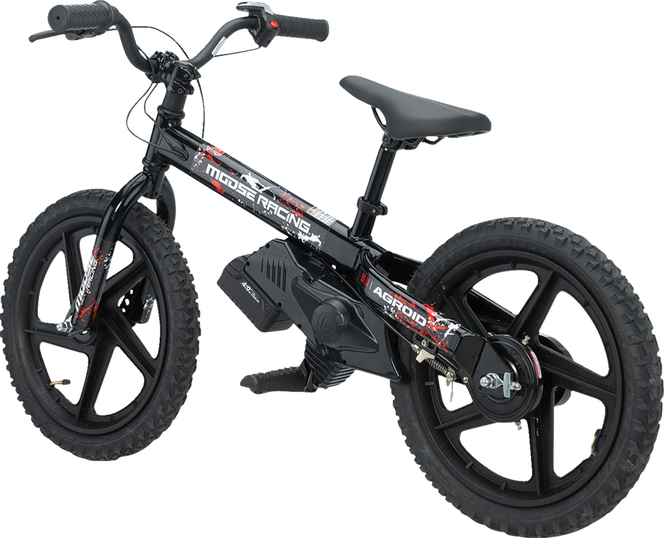 RS-16 E-Bike - Agroid - Balance