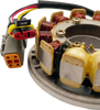 OE Style Stator - Ski-Doo